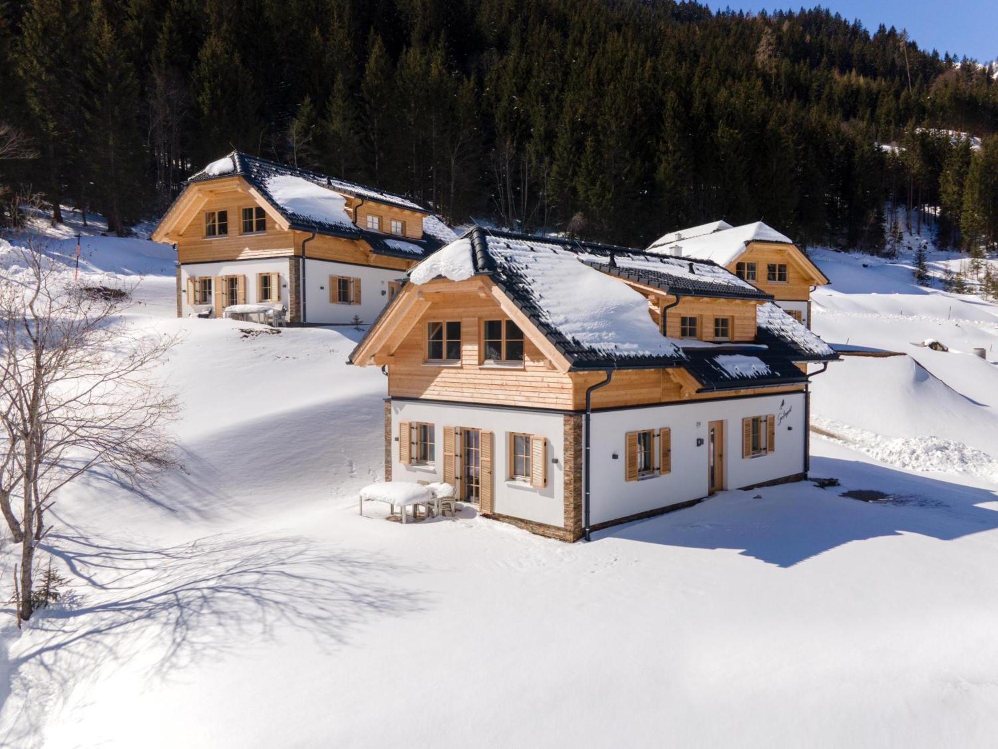 Sperlingnest Villa Donnersbachwald Luaran gambar